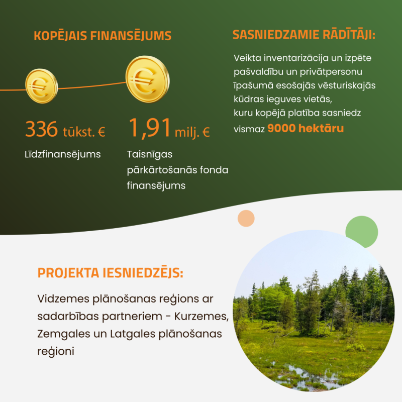 Infografika