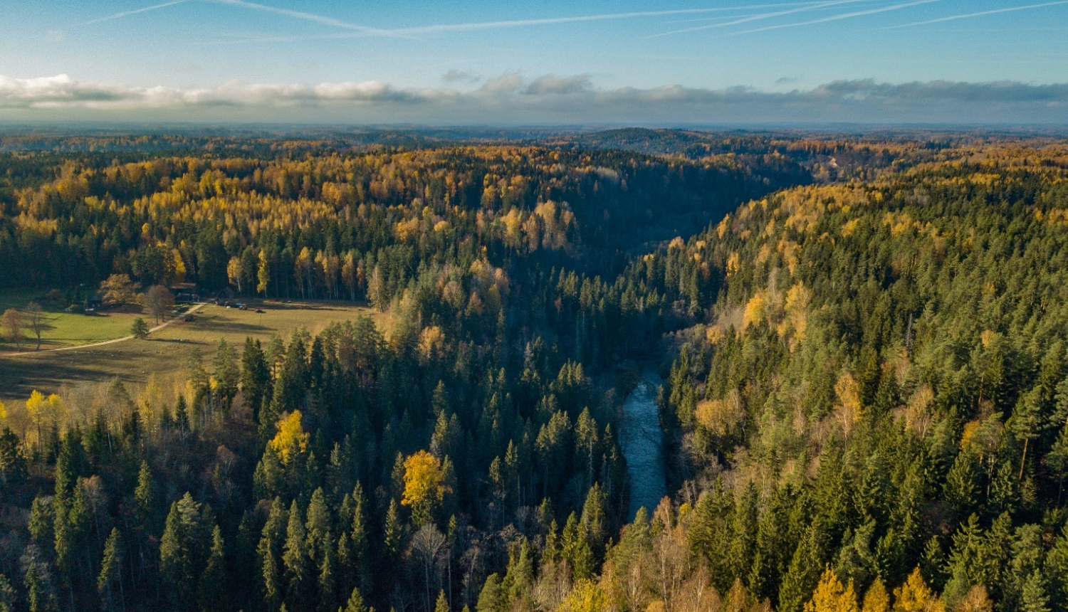 Skats uz Gauju no putna lidojuma